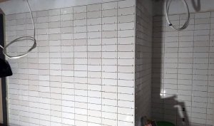 Wolfson update tiling toilets