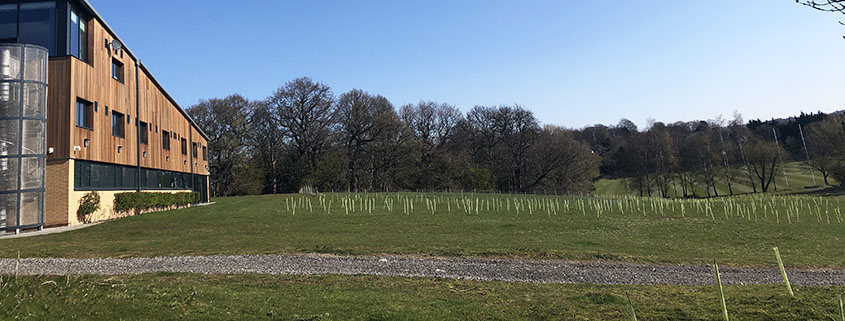 Thousands of trees planted at Leeds Brownlee Triathlon Centre