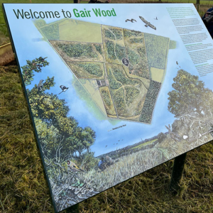 Map of Gair Wood