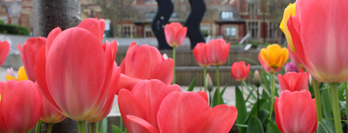 image of bulbs in front of wavy bacon on campus