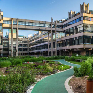 Sustainable garden