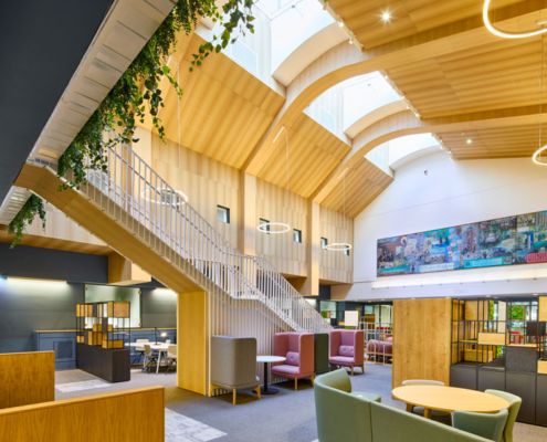 Natural lighting in Health Sciences Library