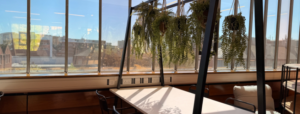 EC Stoner commuter lounge work benches with biophilia