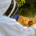 Beekeeper on University Farm