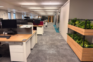 Worsley Prof Services Hub Level 11 open plan workspace