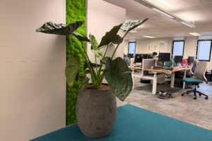 Worsley Prof Services Hub Level 11 planting