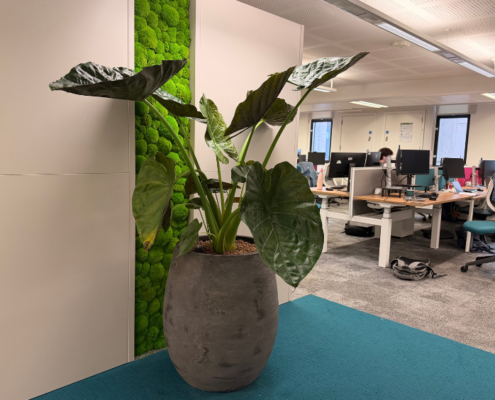 Worsley Prof Services Hub Level 11 planting