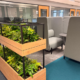 Worsley Prof Services Hub Level 11 breakout space